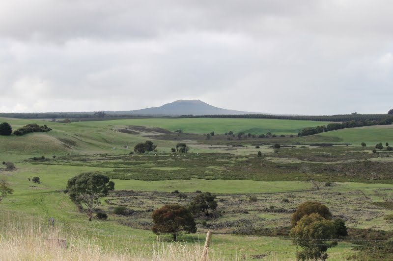 Mt Napier image